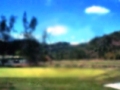 Subic Bay & Country Club